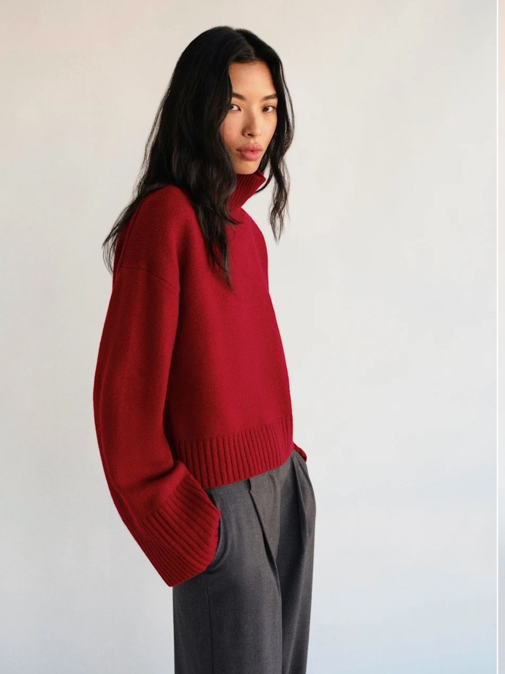 NWT Reformation March Regenerative Wool Cropped Turtleneck